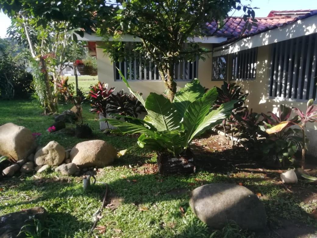 Casa Sophia 3 Listings Apartment 1 Or Apartment 2 Separately Or Apt 1 And 2 Together All With Fo Internet Guápiles Exterior foto