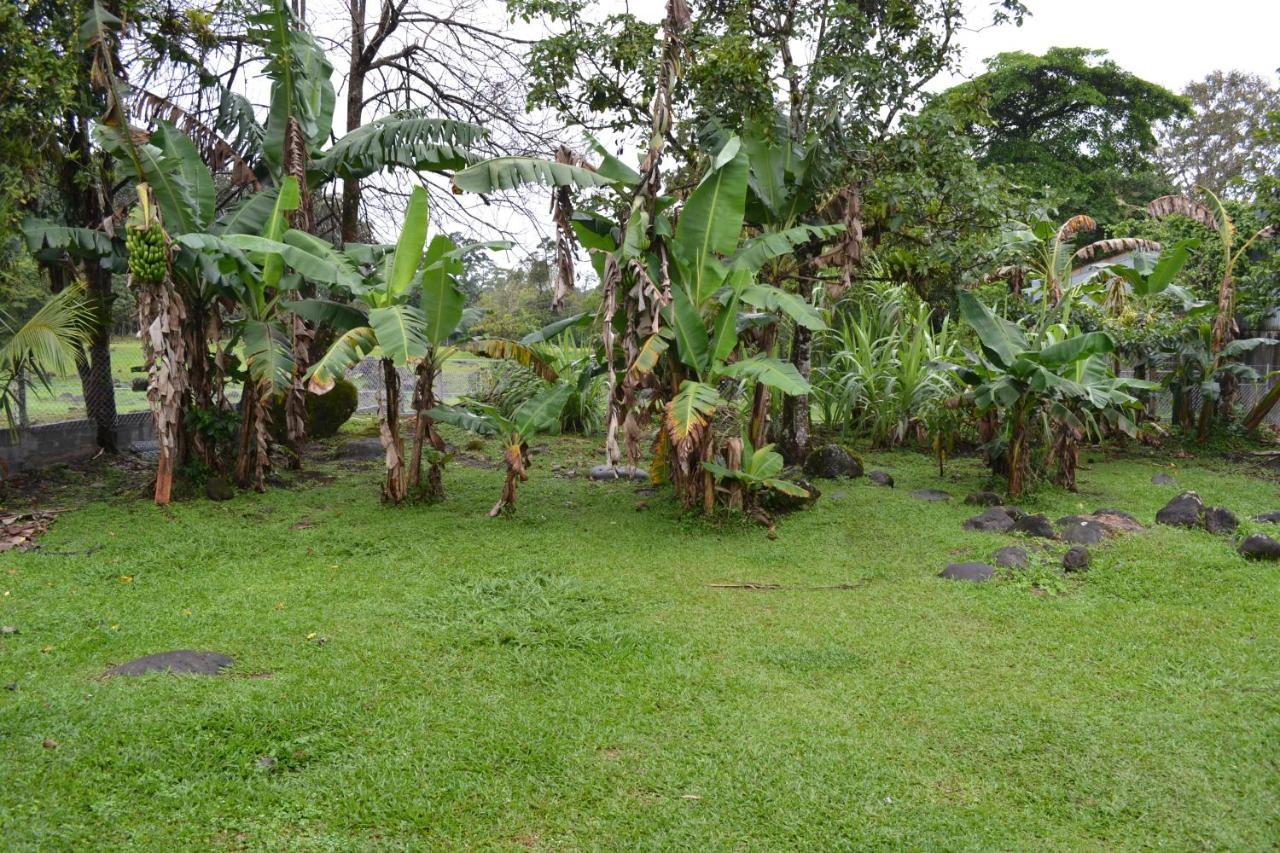Casa Sophia 3 Listings Apartment 1 Or Apartment 2 Separately Or Apt 1 And 2 Together All With Fo Internet Guápiles Exterior foto